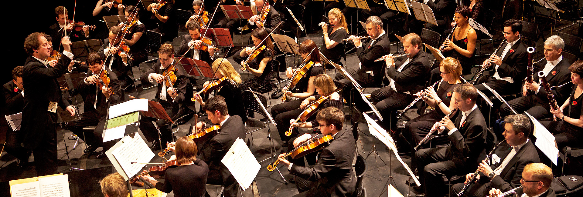 National orchestra. Симфонический оркестр на белом фоне. Оркестр Эстетика. Эстрадно-симфонический оркестр. Инструменты оркестра.