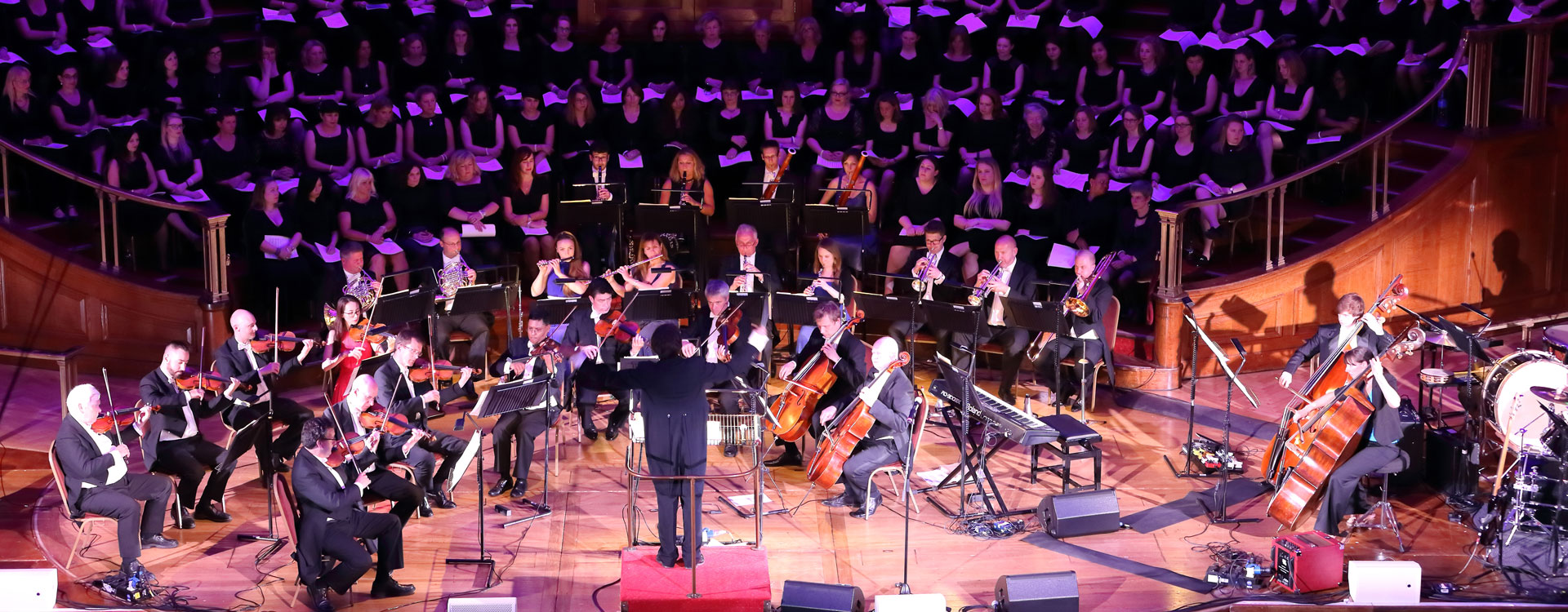 The National Symphony Orchestra